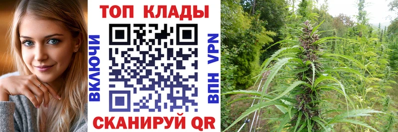 Где купить наркотики Кохма Кокаин Амфетамин МЕФ ГАШИШ Каннабис A PVP