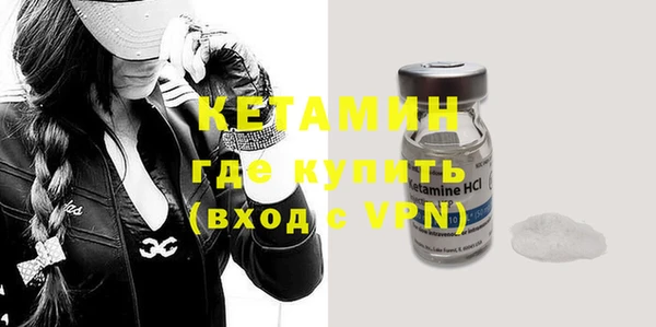 крисы Новодвинск