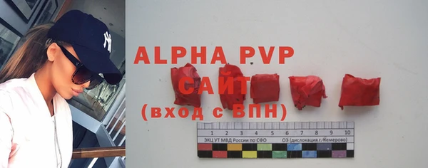 ГАЛЛЮЦИНОГЕННЫЕ ГРИБЫ Нея