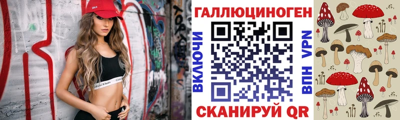 Псилоцибиновые грибы Psilocybine cubensis  Кохма 